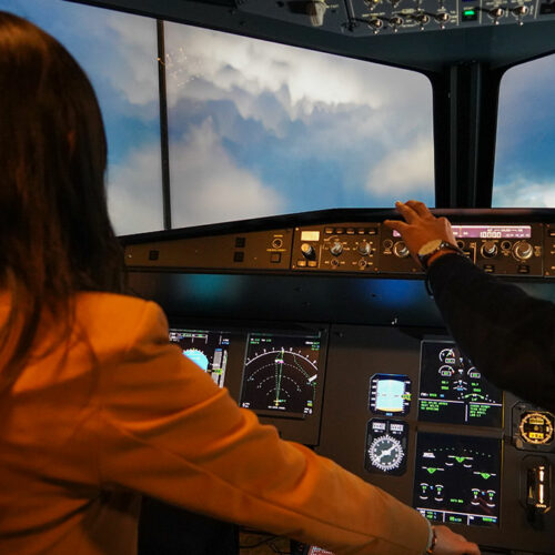 Fear of flying Therapy - Image 4